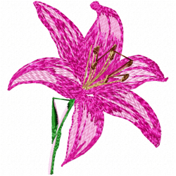 Flowers Embroidery Design 12